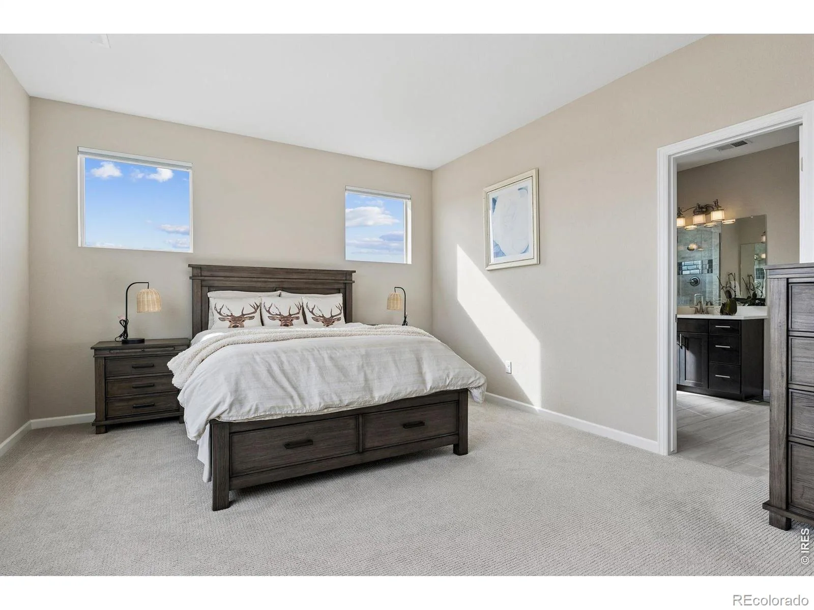 1910 High Plains Drive Longmont CO 80503 MLS #RECIR1053086 05312026004924 1600 14