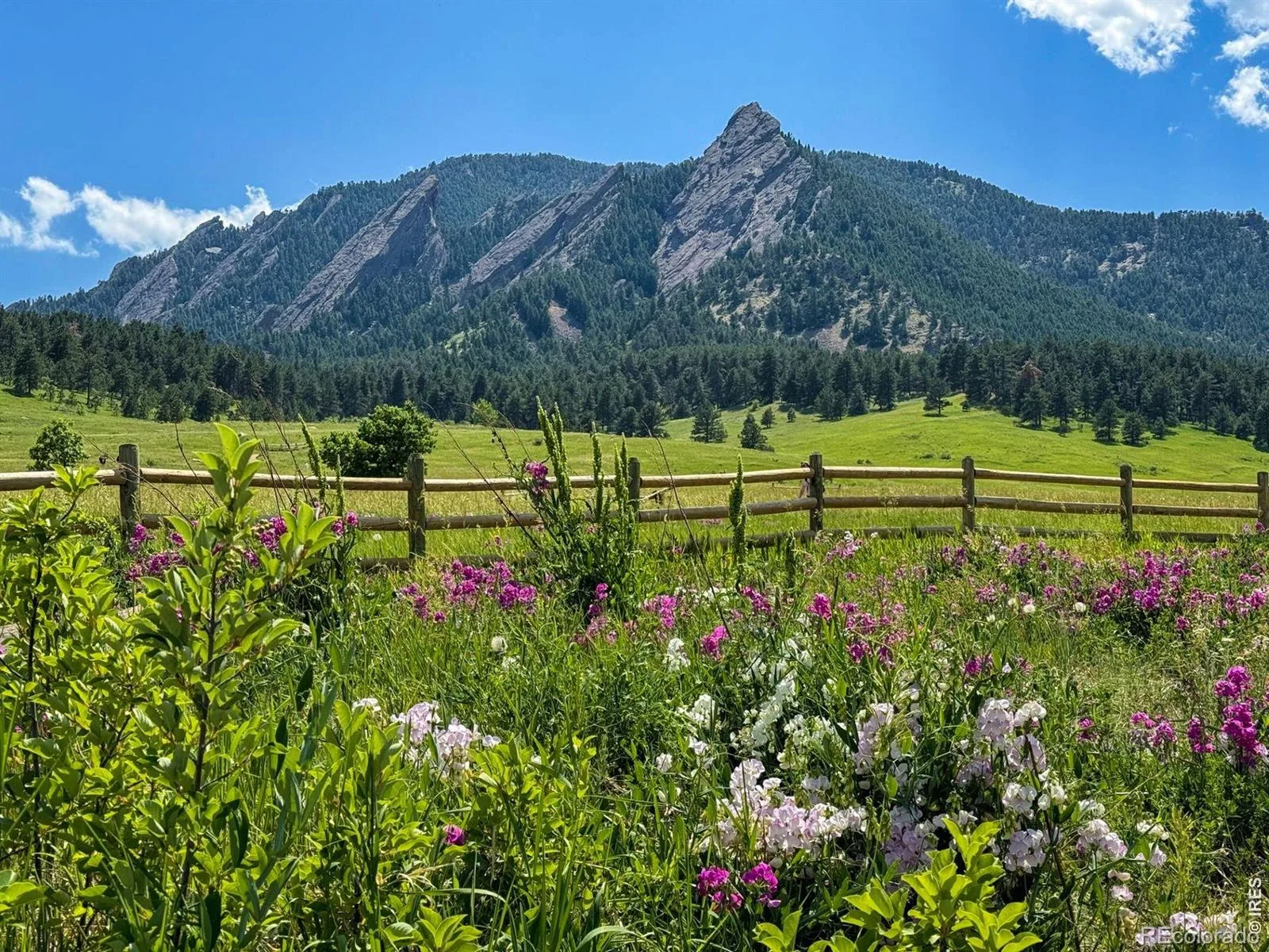 1910 High Plains Drive Longmont CO 80503 MLS #RECIR1053086 05312026004924 1600 39