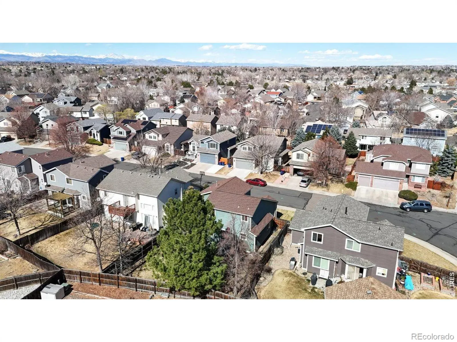 03072026202000 1600 35