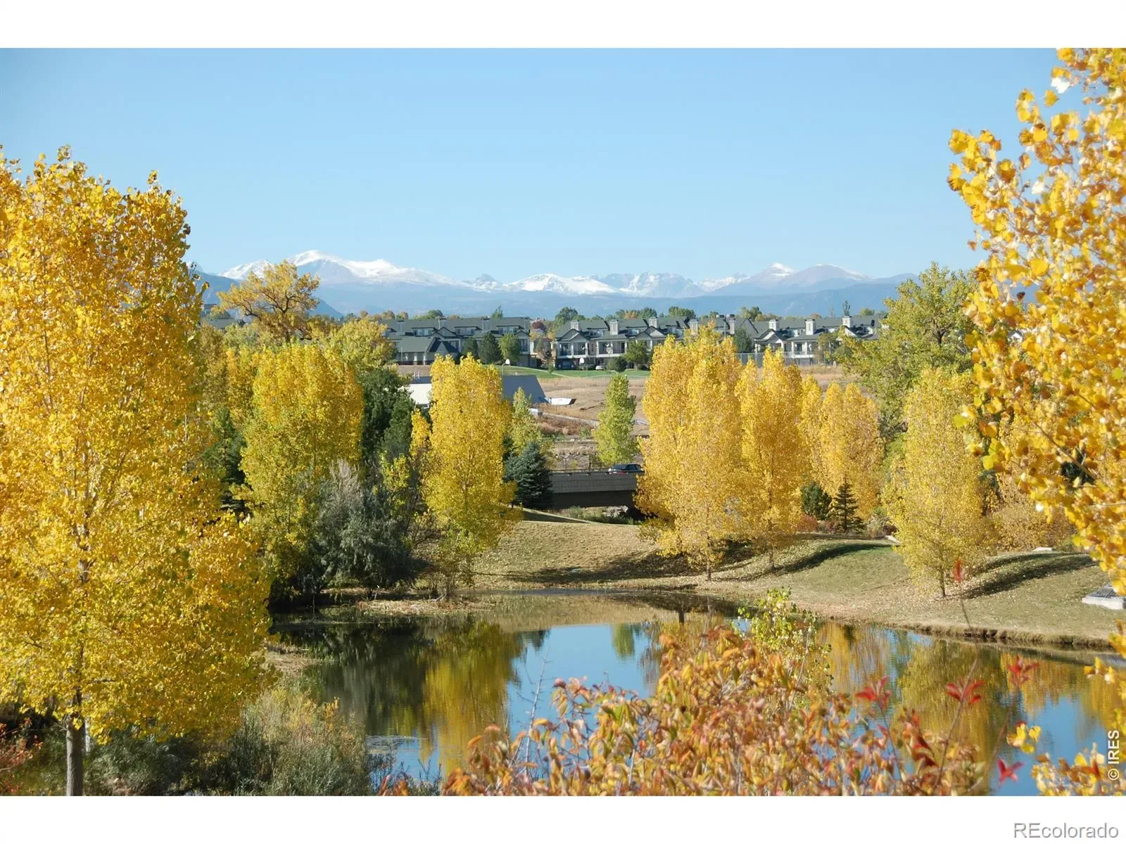 03072026202000 1600 41