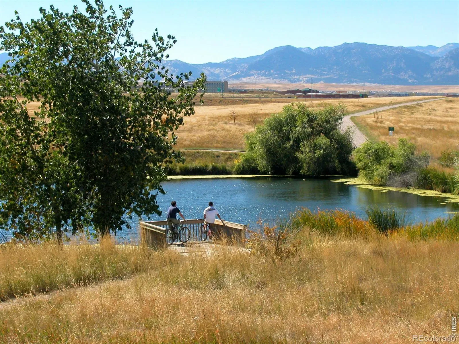 03072026202000 1600 43