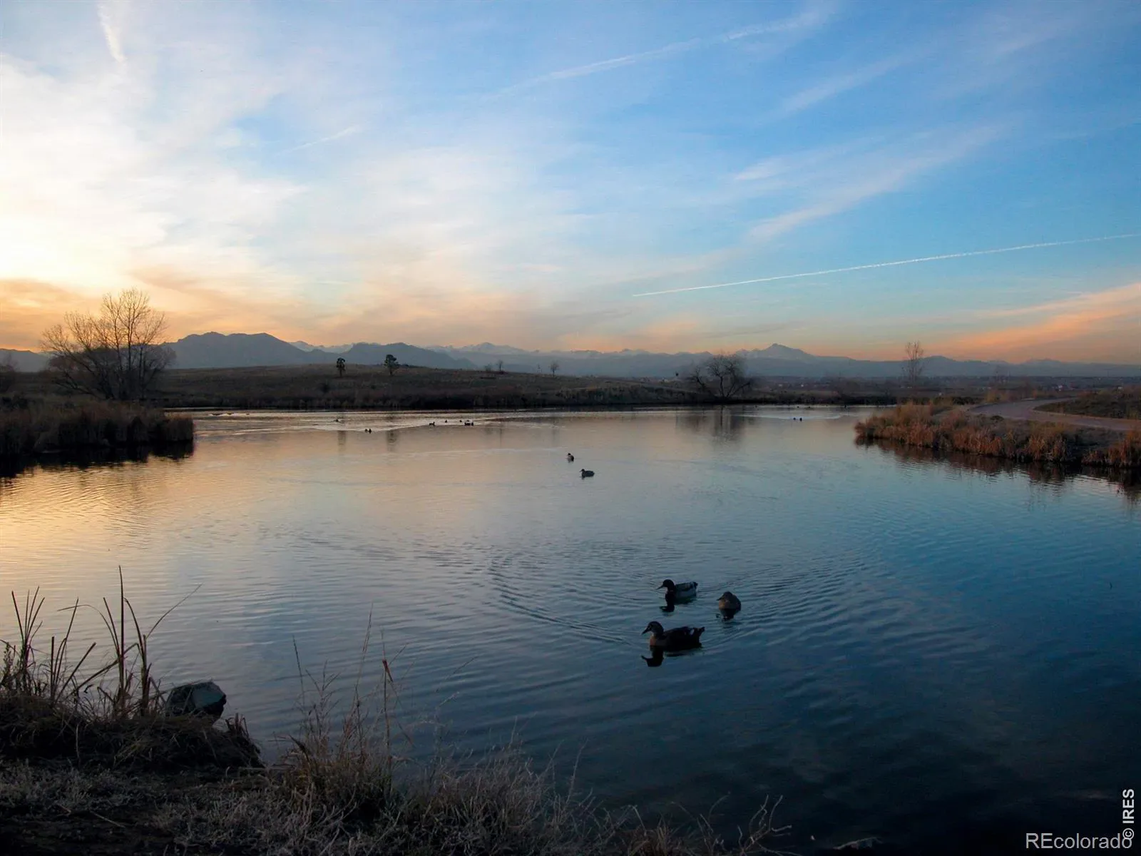 03072026202000 1600 44