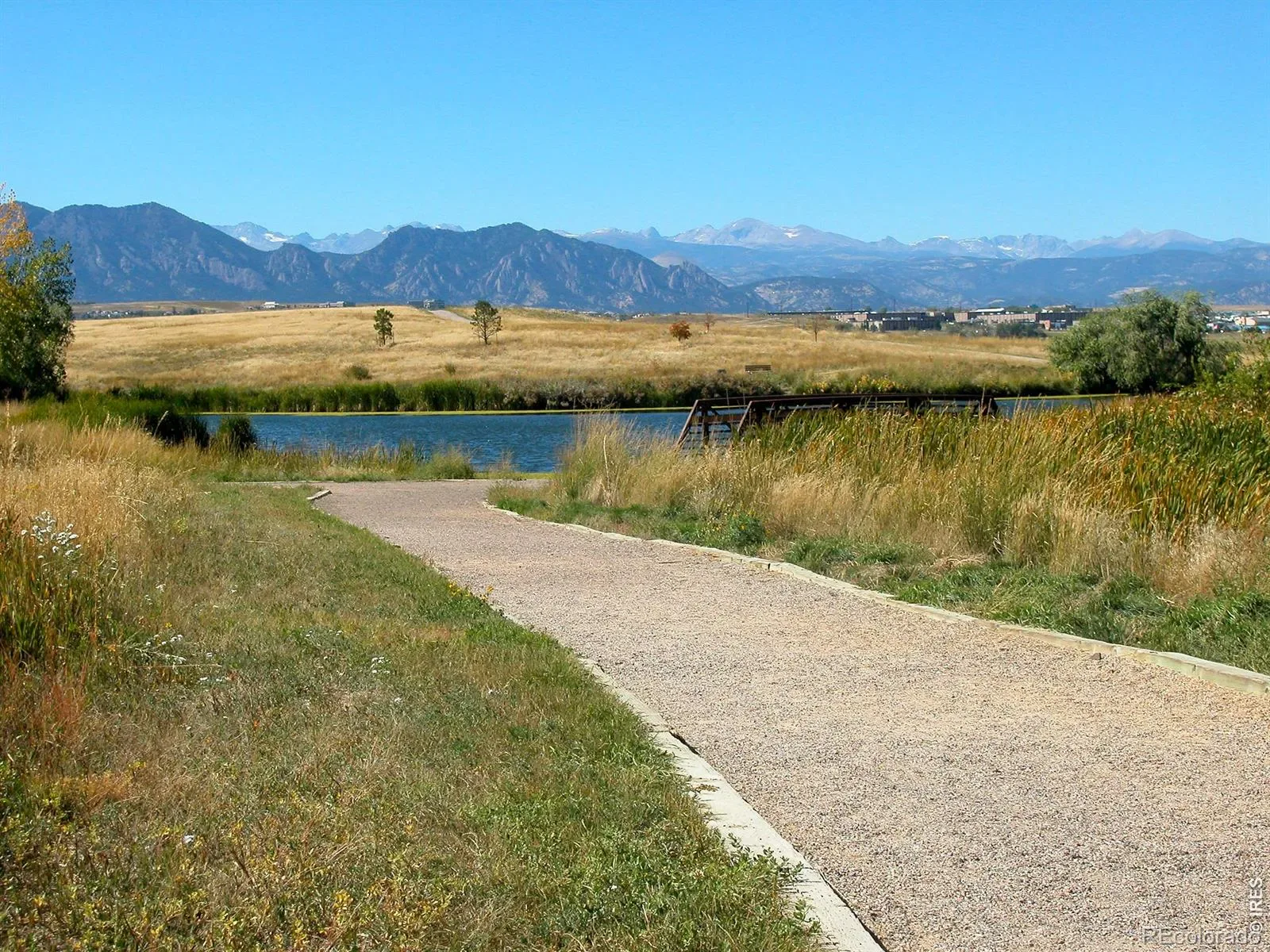 03072026202000 1600 46