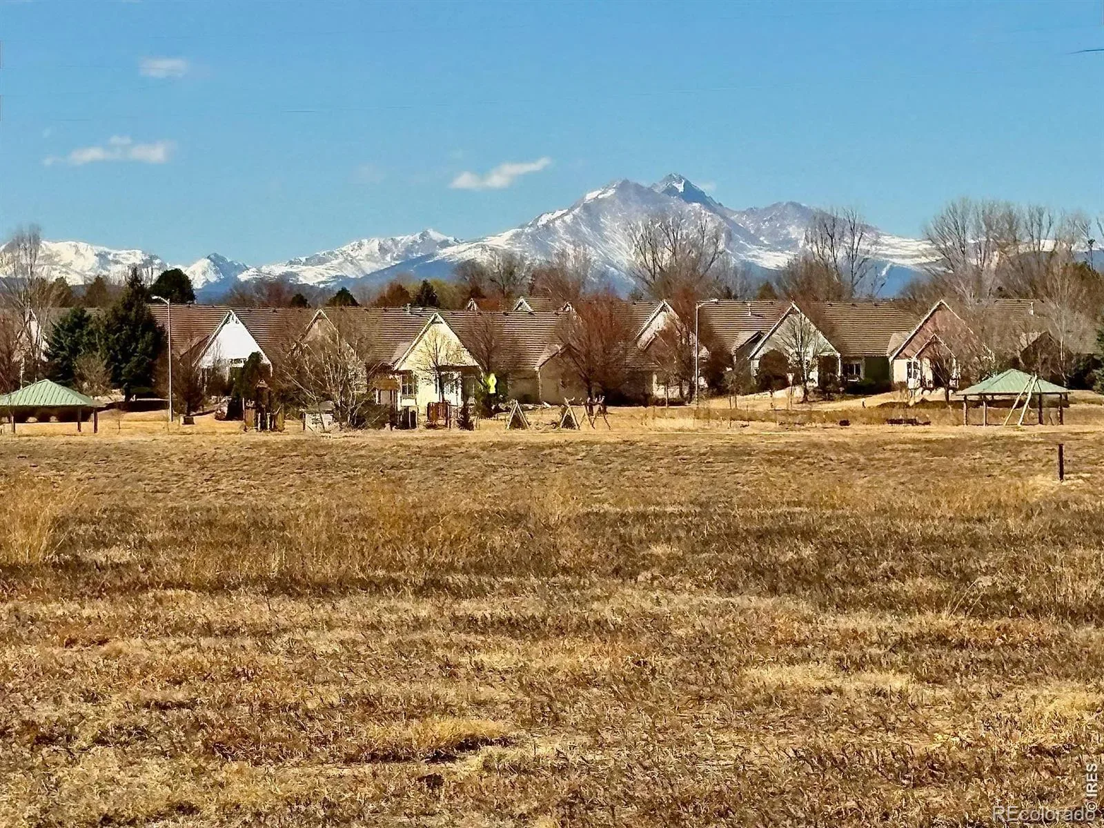 03092026050559 1600 4