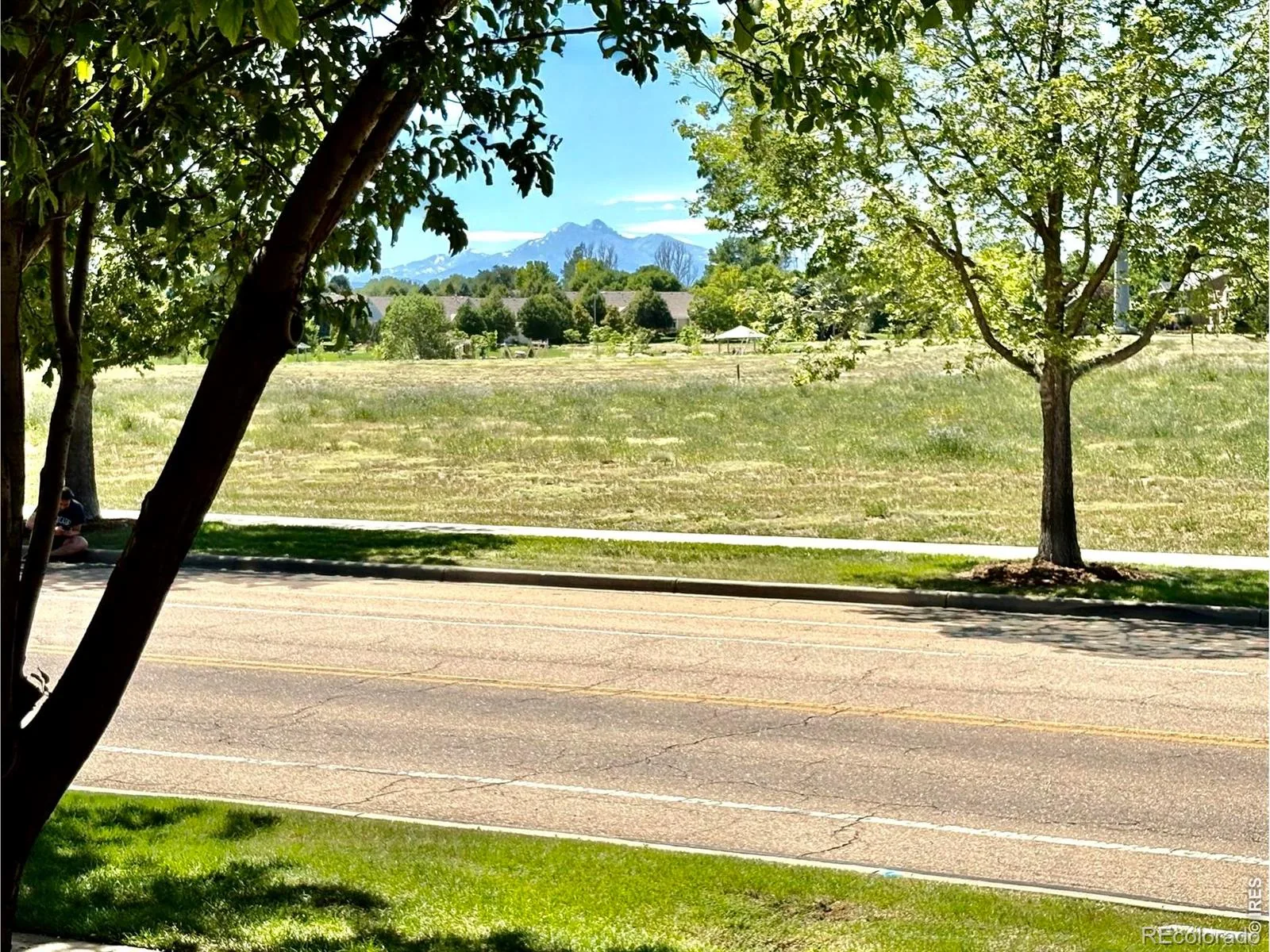 527 Deerwood Drive Longmont CO 80504 | MLS #RECIR1053296 08122026120614 1600 1