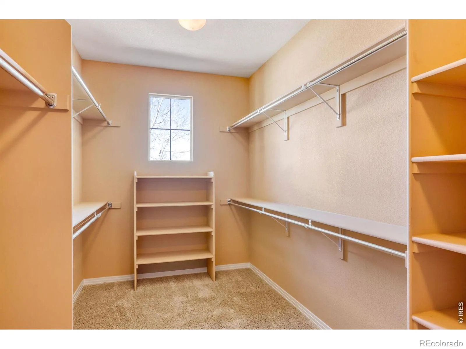 527 Deerwood Drive Longmont CO 80504 | MLS #RECIR1053296 08122026120614 1600 19