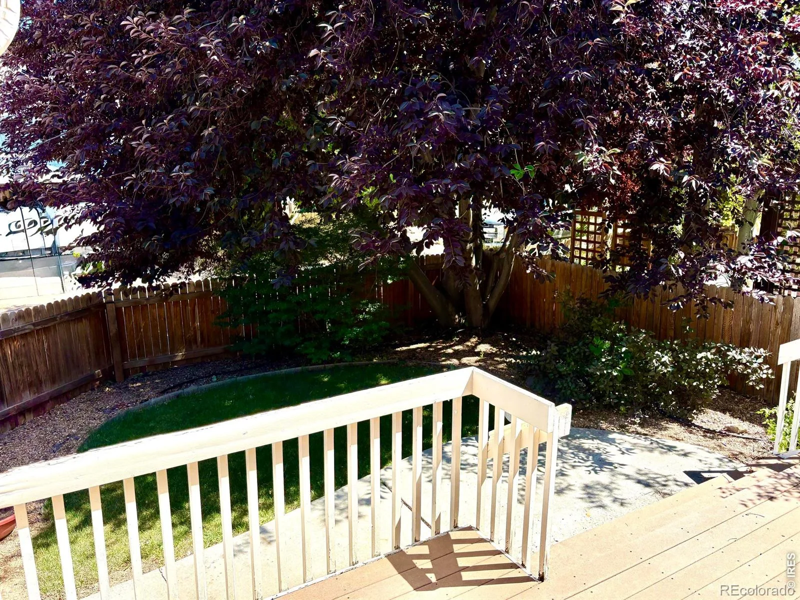 527 Deerwood Drive Longmont CO 80504 | MLS #RECIR1053296 08122026120614 1600 26