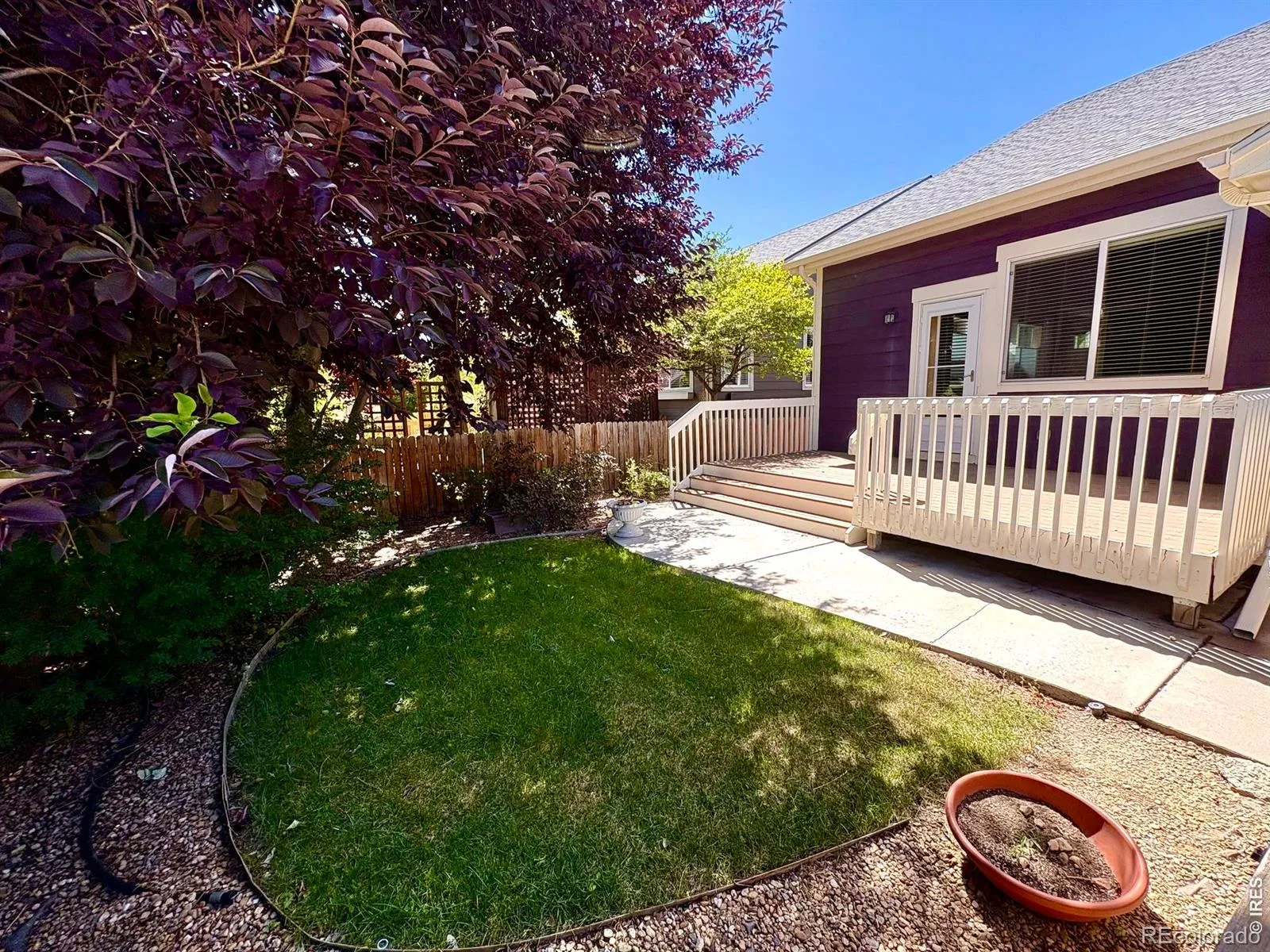 527 Deerwood Drive Longmont CO 80504 | MLS #RECIR1053296 08122026120614 1600 6