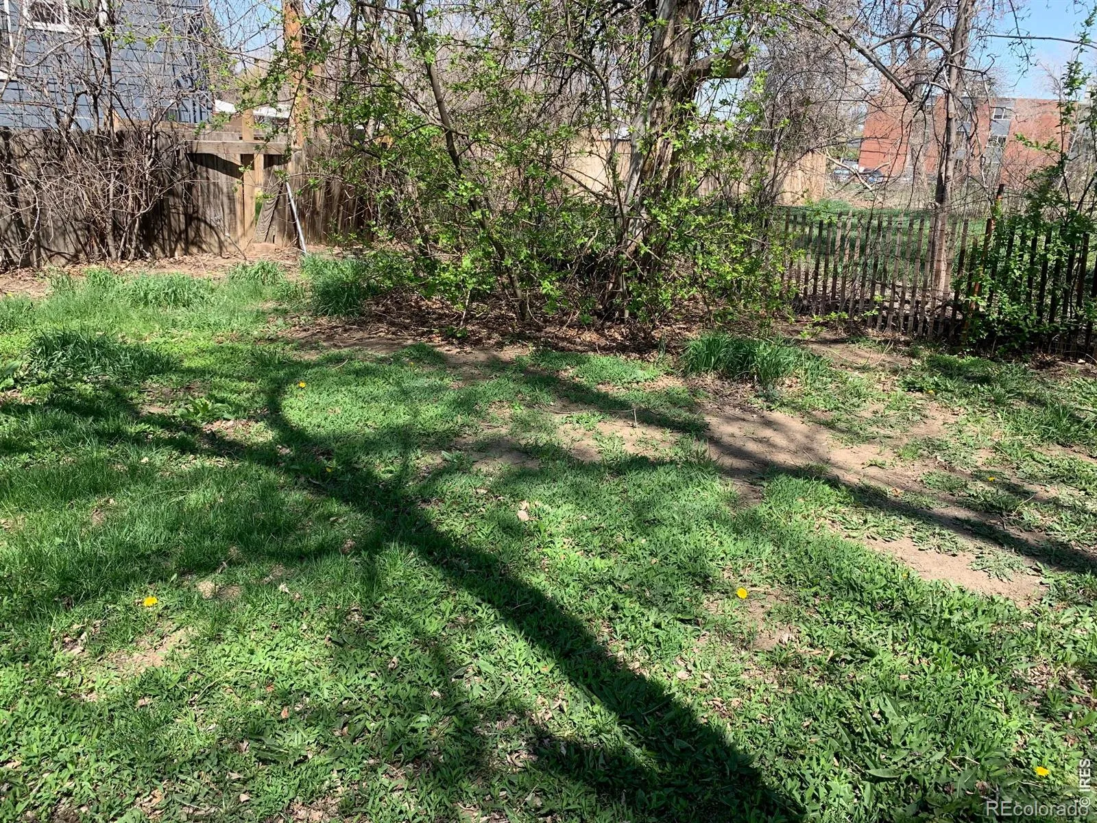 1826 9th Avenue Longmont CO 80501 MLS #RECIR1053298 05062026231439 1600 12