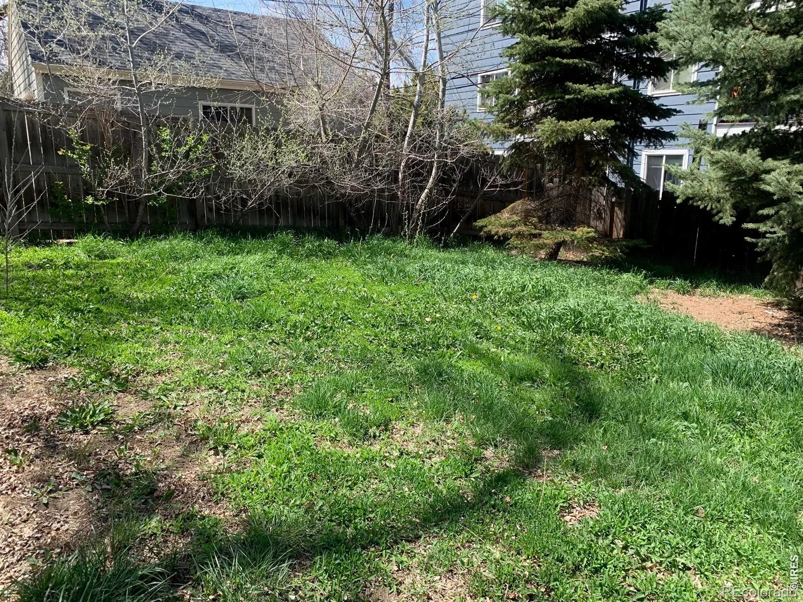 1826 9th Avenue Longmont CO 80501 MLS #RECIR1053298 05062026231439 1600 13