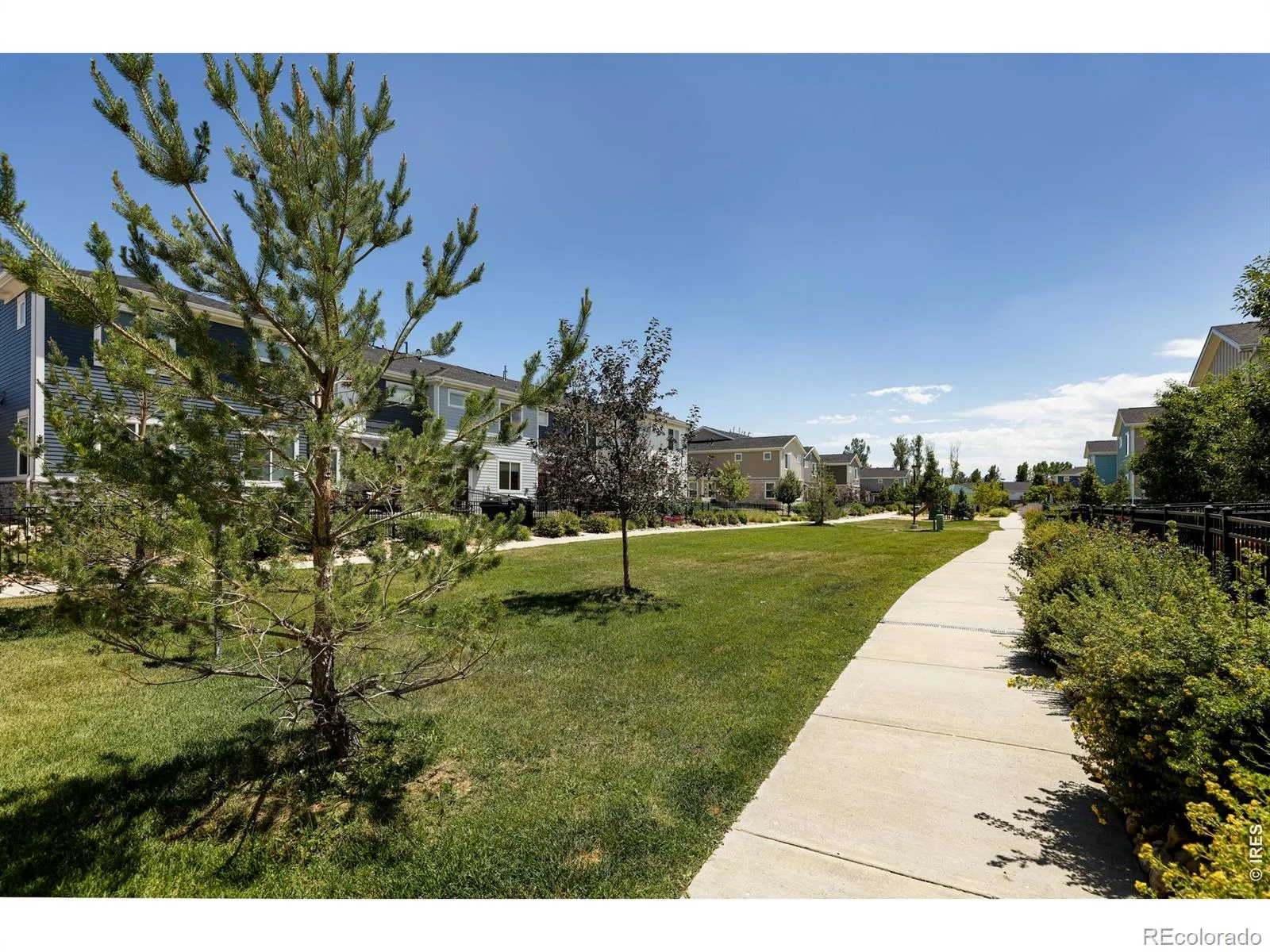 610 Stonebridge Drive Longmont CO 80503 | MLS #RECIR1053329 07152026190519 1600 28