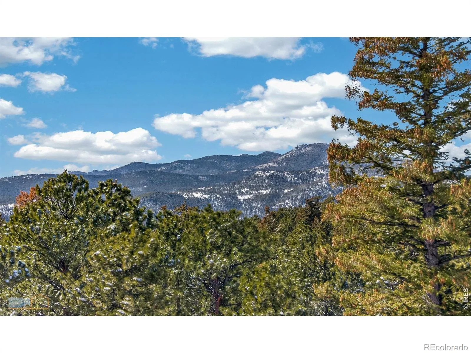 11981 Spruce Canyon Circle Golden CO 80403 | MLS #RECIR1053482 06082026231917 1600 22