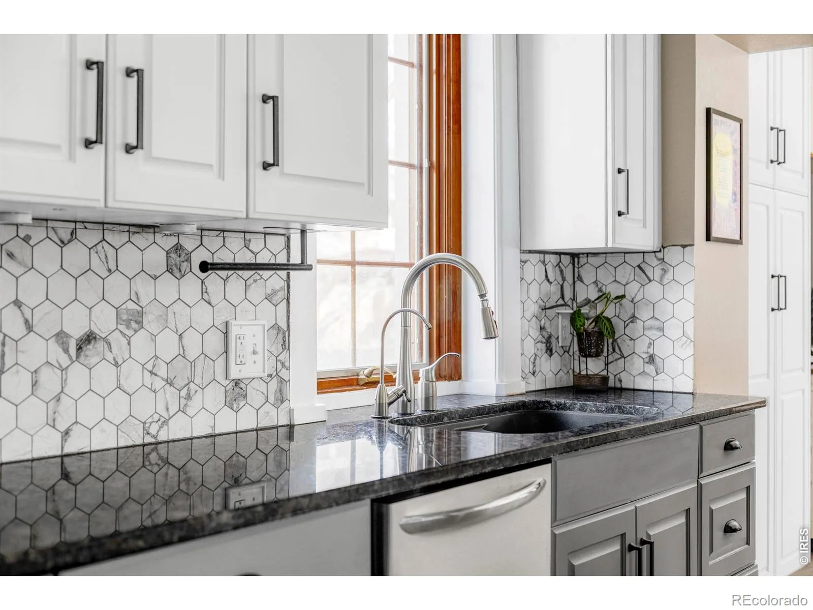 742 N Downing Street Denver CO 80218 MLS #RECIR1053504 06302026002147 1600 10