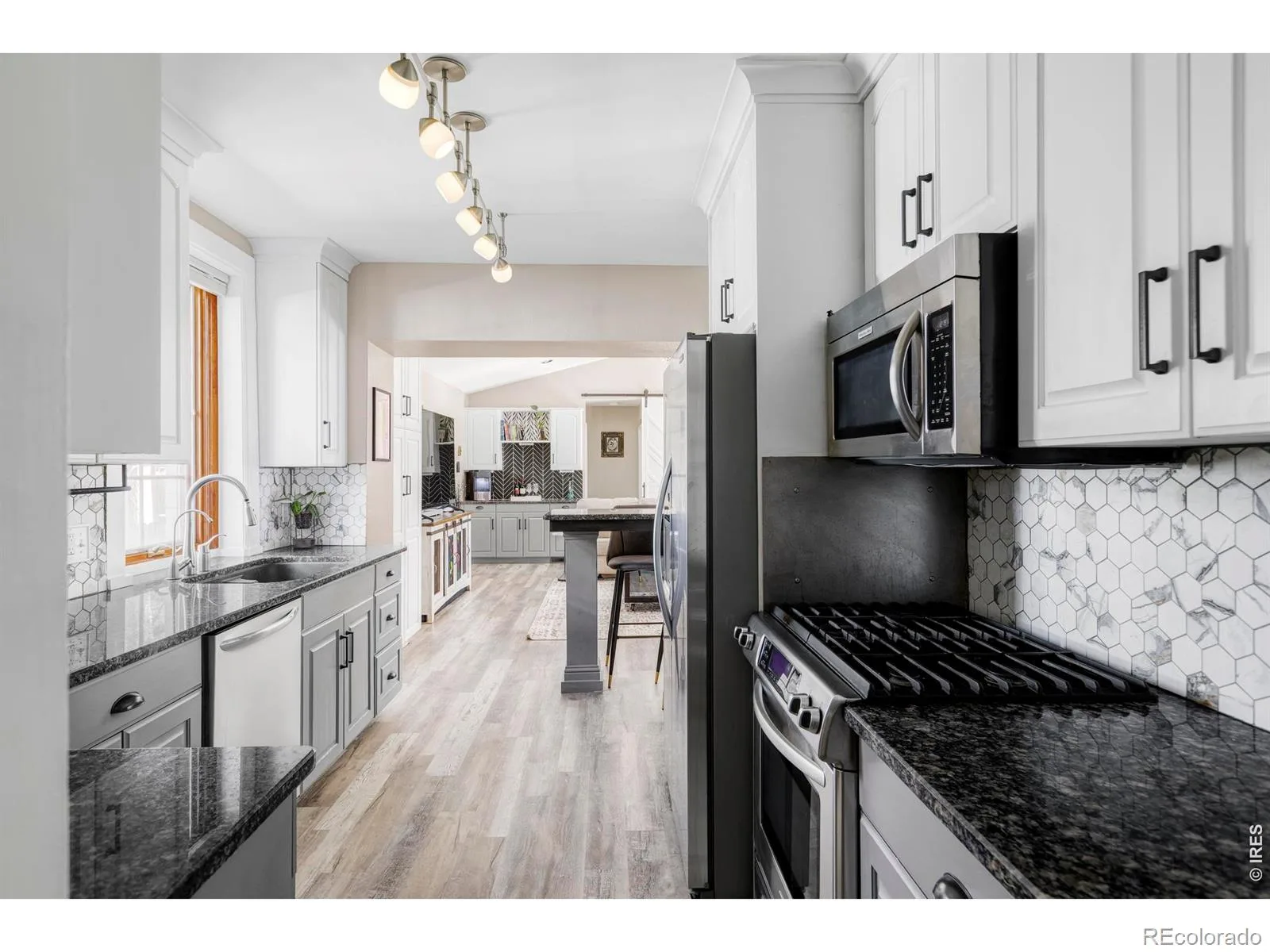 742 N Downing Street Denver CO 80218 MLS #RECIR1053504 06302026002147 1600 11