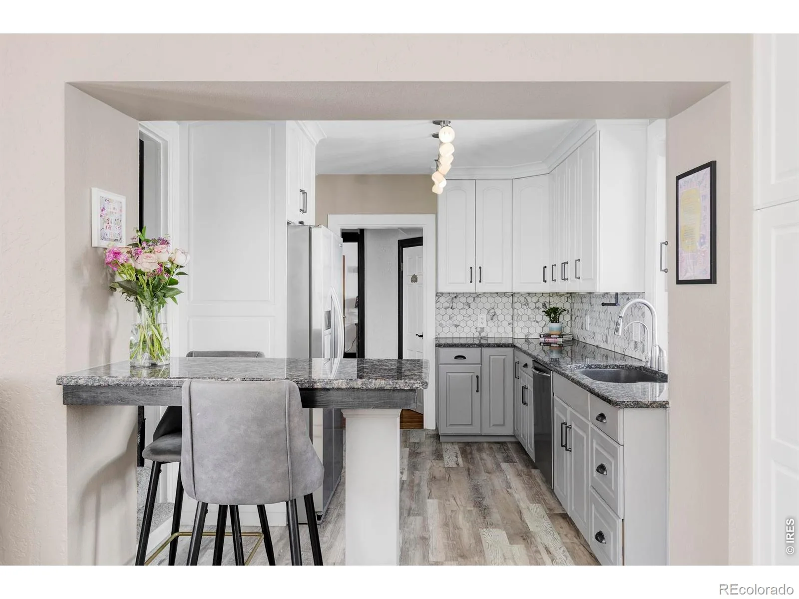 742 N Downing Street Denver CO 80218 MLS #RECIR1053504 06302026002147 1600 9