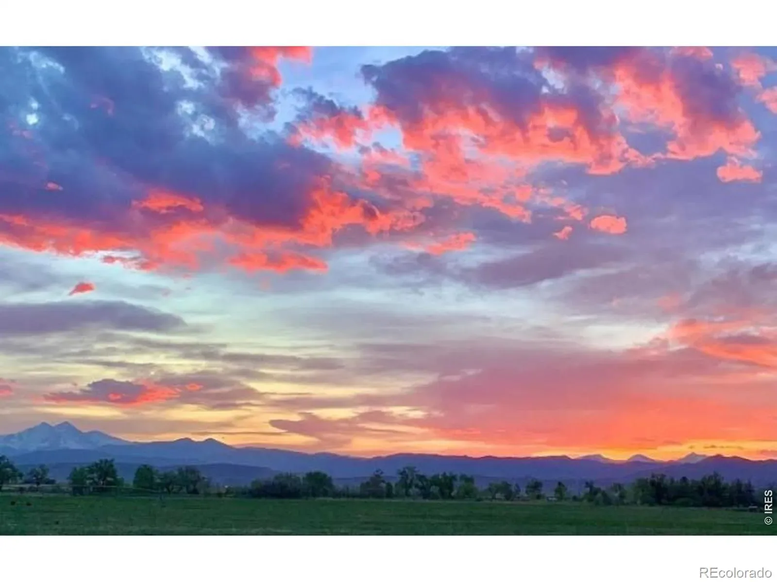 14798 N 115th Street Longmont CO 80504 | MLS #REC6997011 03112026232846 1600 10