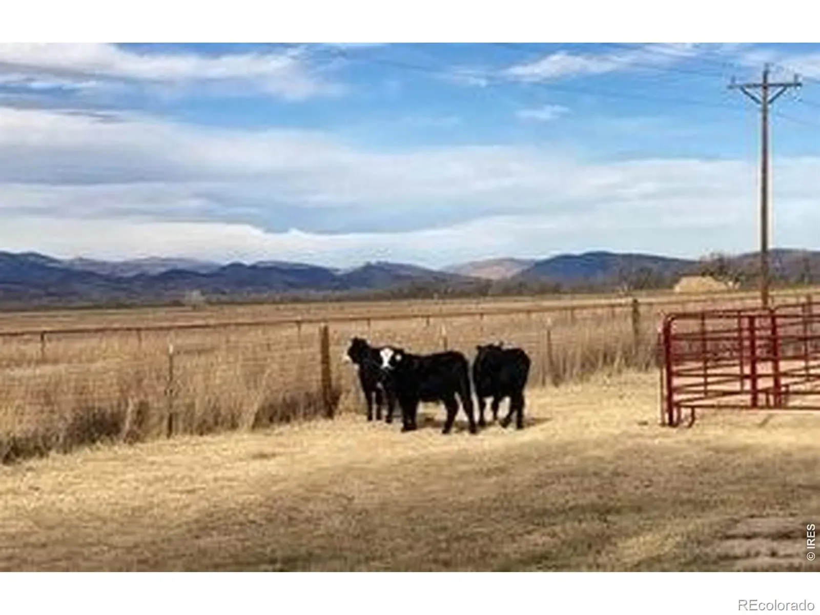 14798 N 115th Street Longmont CO 80504 | MLS #REC6997011 03112026232846 1600 15