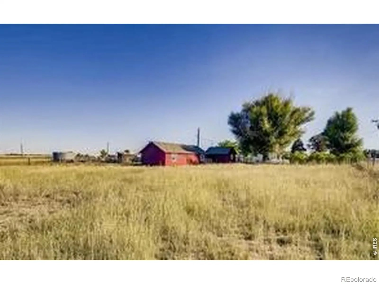 14798 N 115th Street Longmont CO 80504 | MLS #REC6997011 03112026232846 1600 17