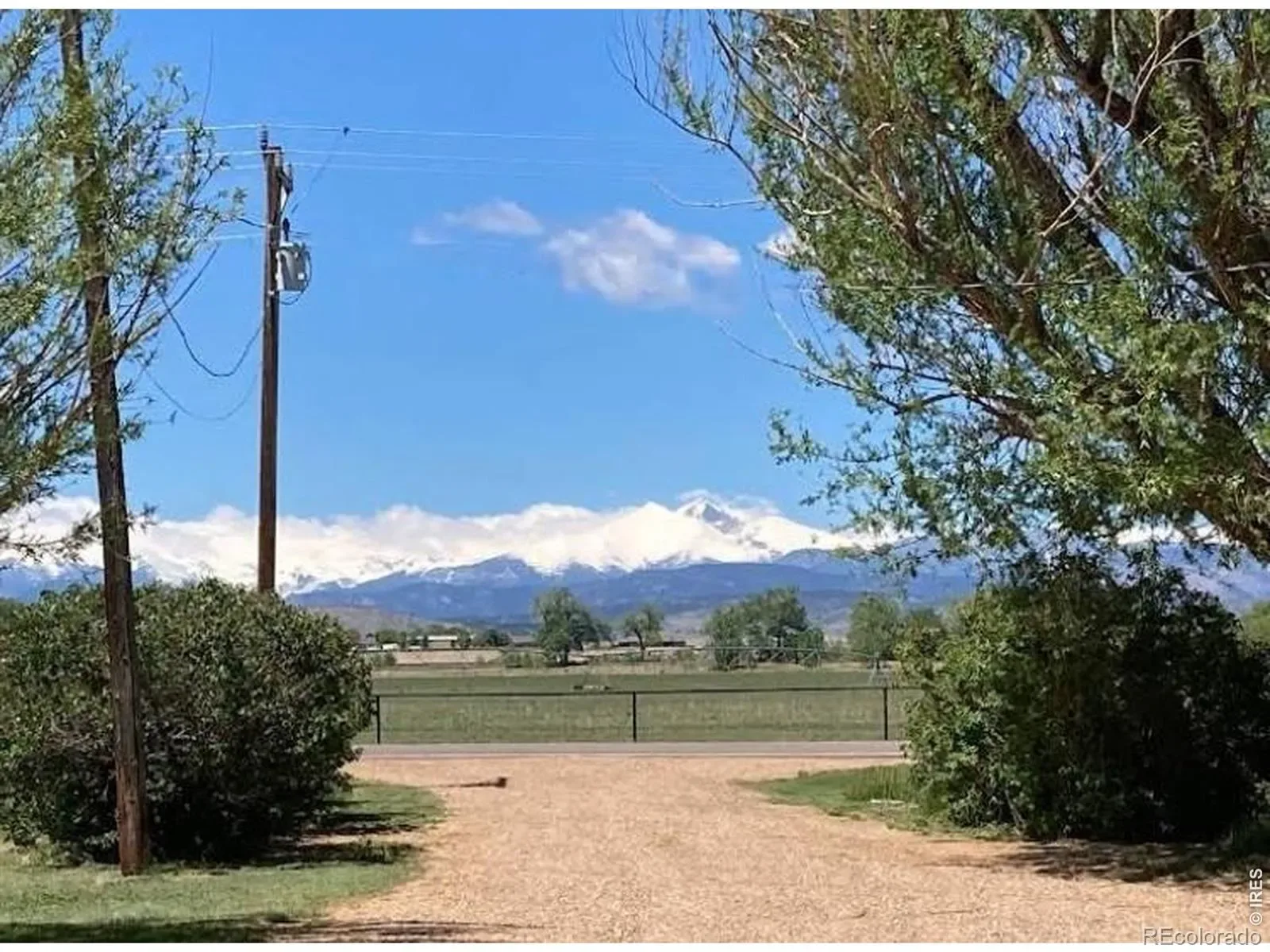 14798 N 115th Street Longmont CO 80504 | MLS #REC6997011 03112026232846 1600 20
