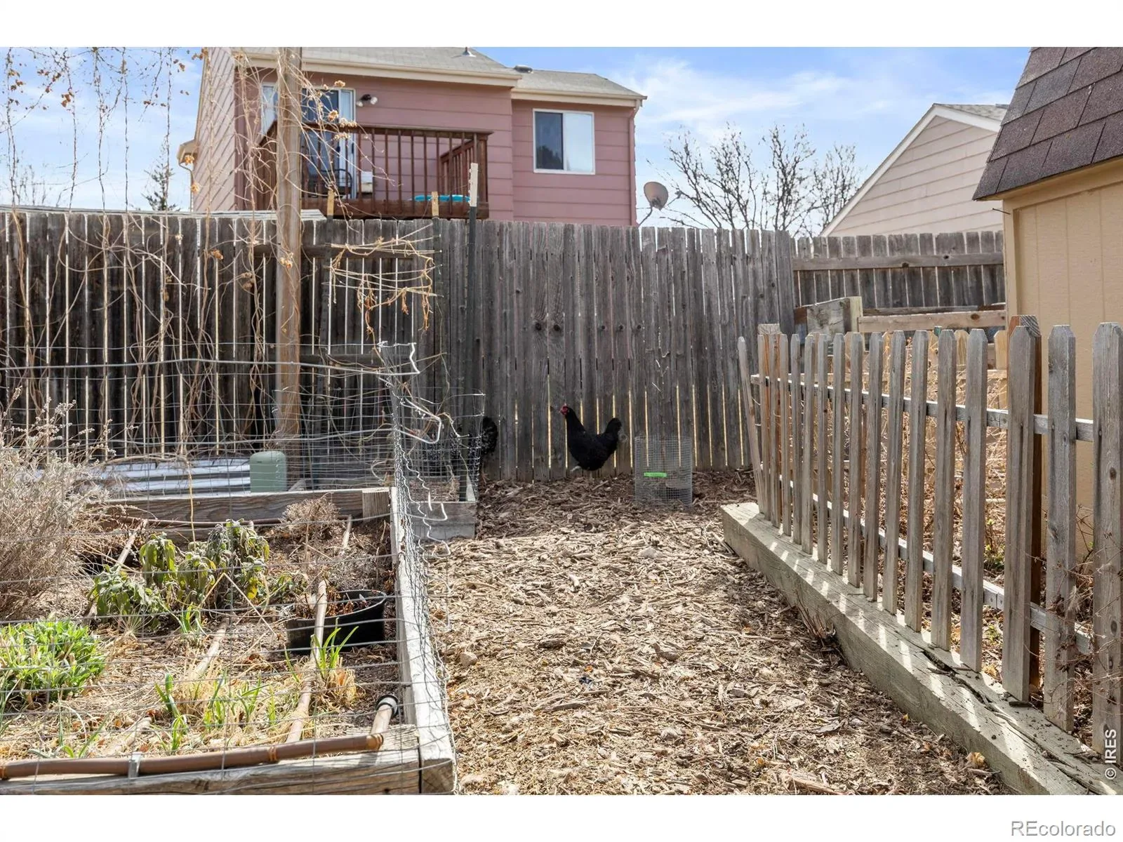 03192026170947 1600 27