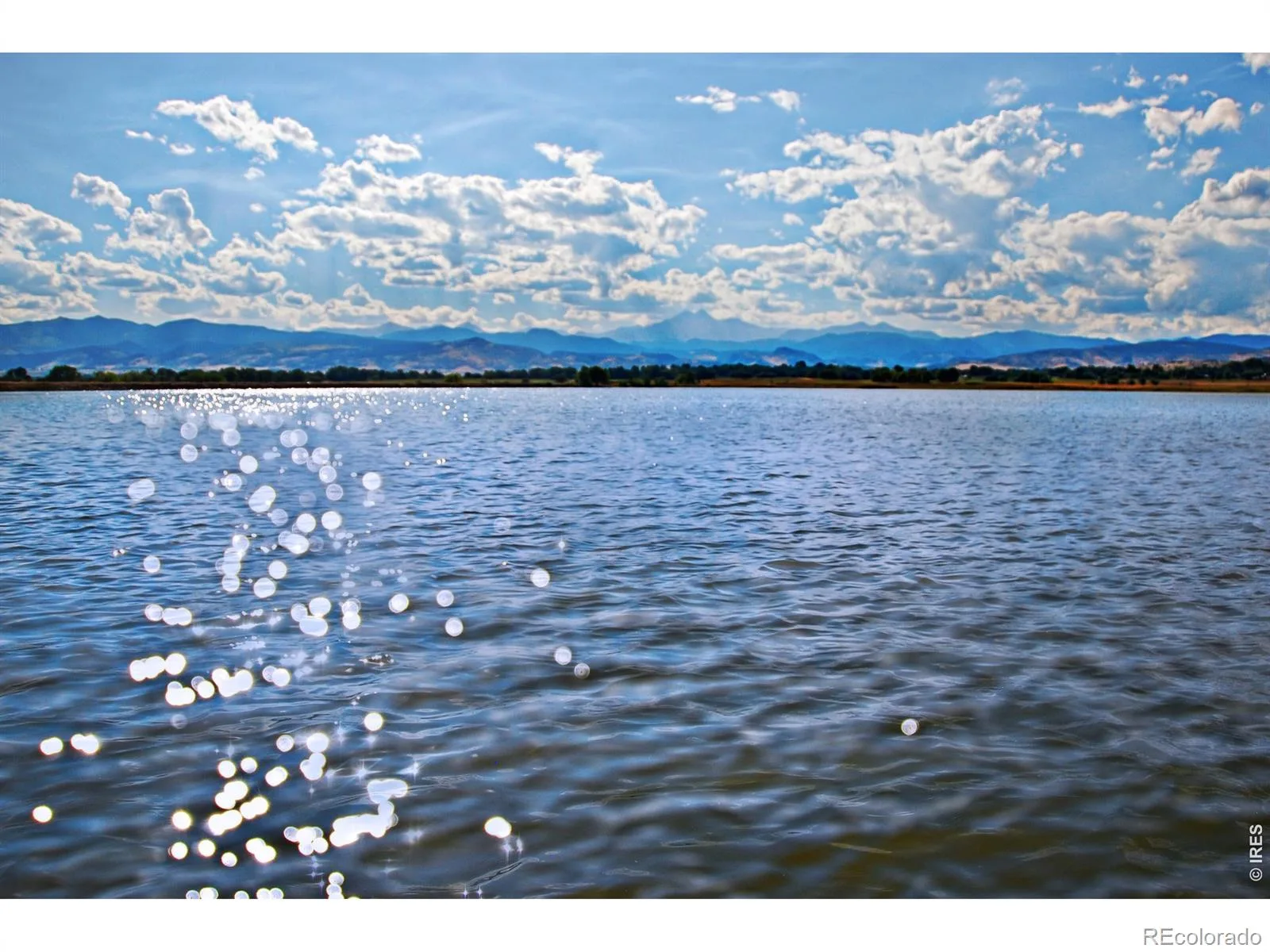 5687 Cottontail Drive Longmont CO 80503 | MLS #RECIR1054447 06212026005501 1600 35