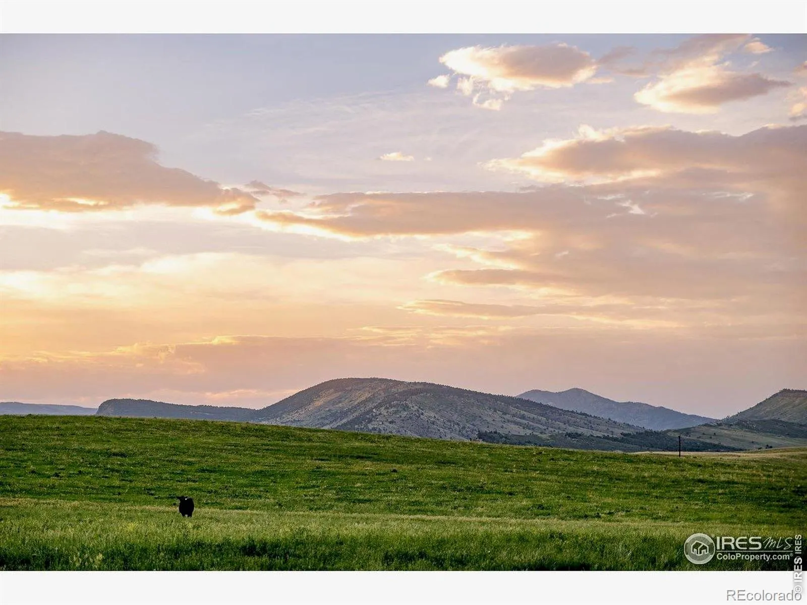 11534 Eagle Springs Trail Longmont CO 80503 | MLS #RECIR1054497 04302026010602 1600 11