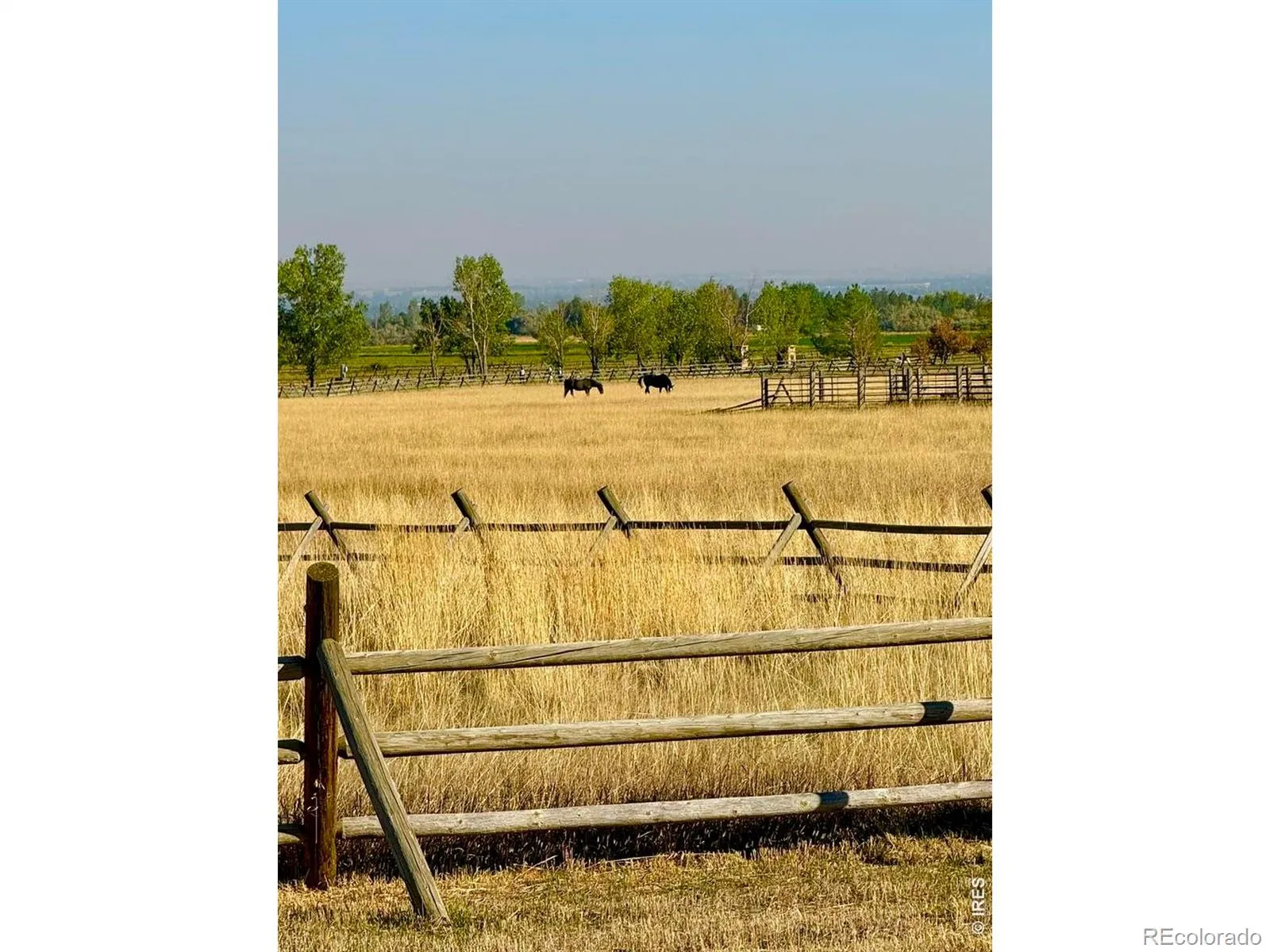 11534 Eagle Springs Trail Longmont CO 80503 | MLS #RECIR1054497 04302026010602 1600 17