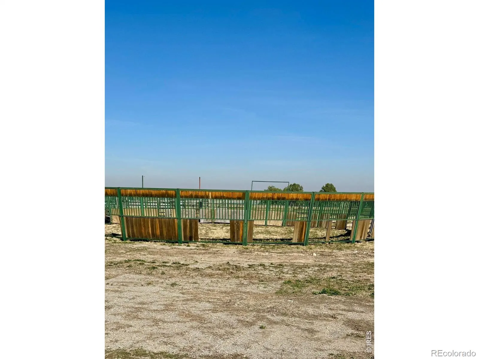 11534 Eagle Springs Trail Longmont CO 80503 | MLS #RECIR1054497 04302026010602 1600 19