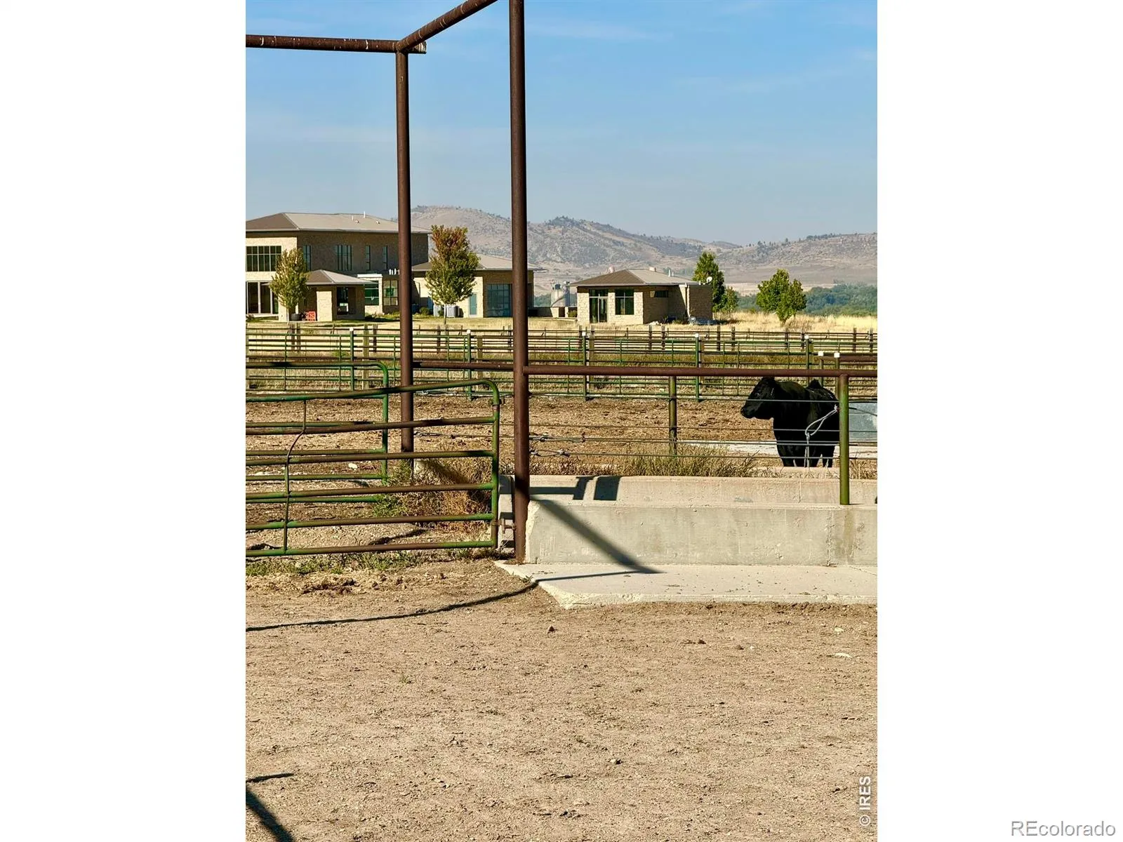 11534 Eagle Springs Trail Longmont CO 80503 | MLS #RECIR1054497 04302026010602 1600 22
