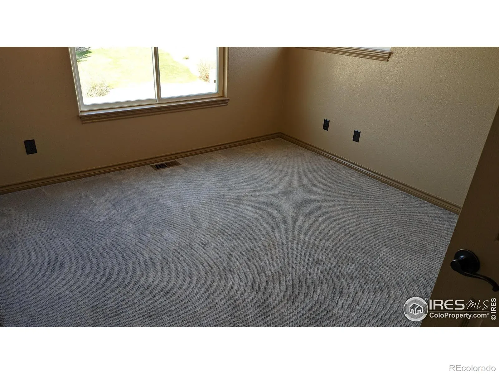 03262026012958 1600 20