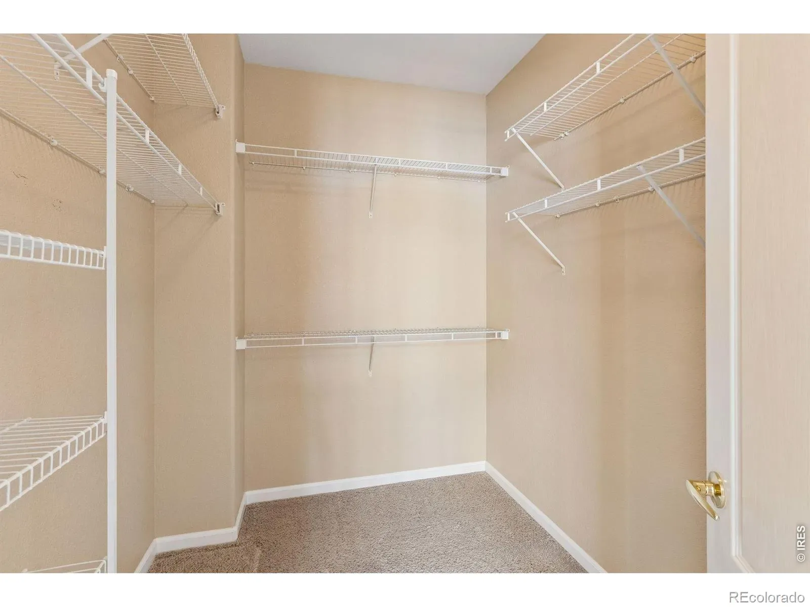 03262026211454 1600 14