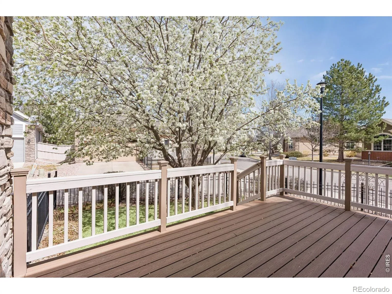 03262026211454 1600 42