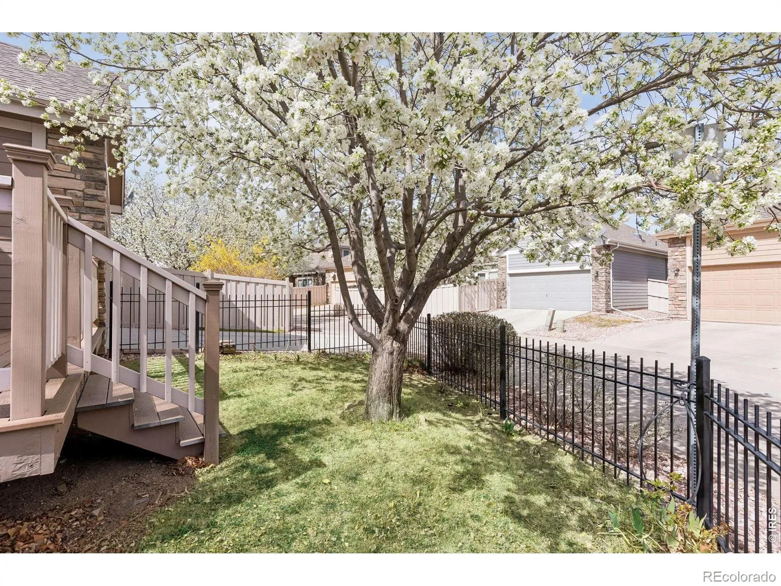 03262026211454 1600 44