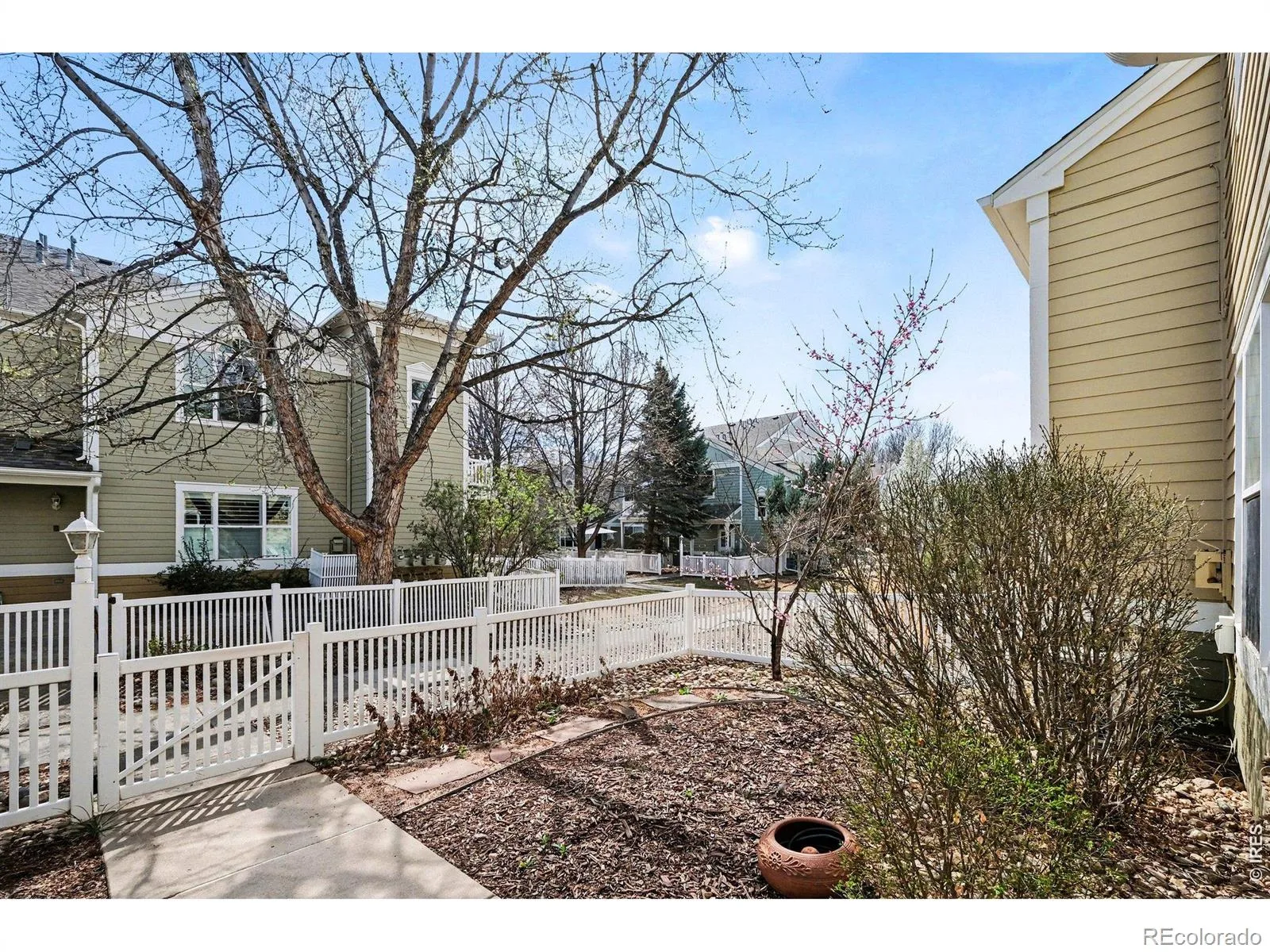 640 Gooseberry Drive #806 Longmont CO 80503 | MLS #RECIR1054918 06182026235336 1600 21