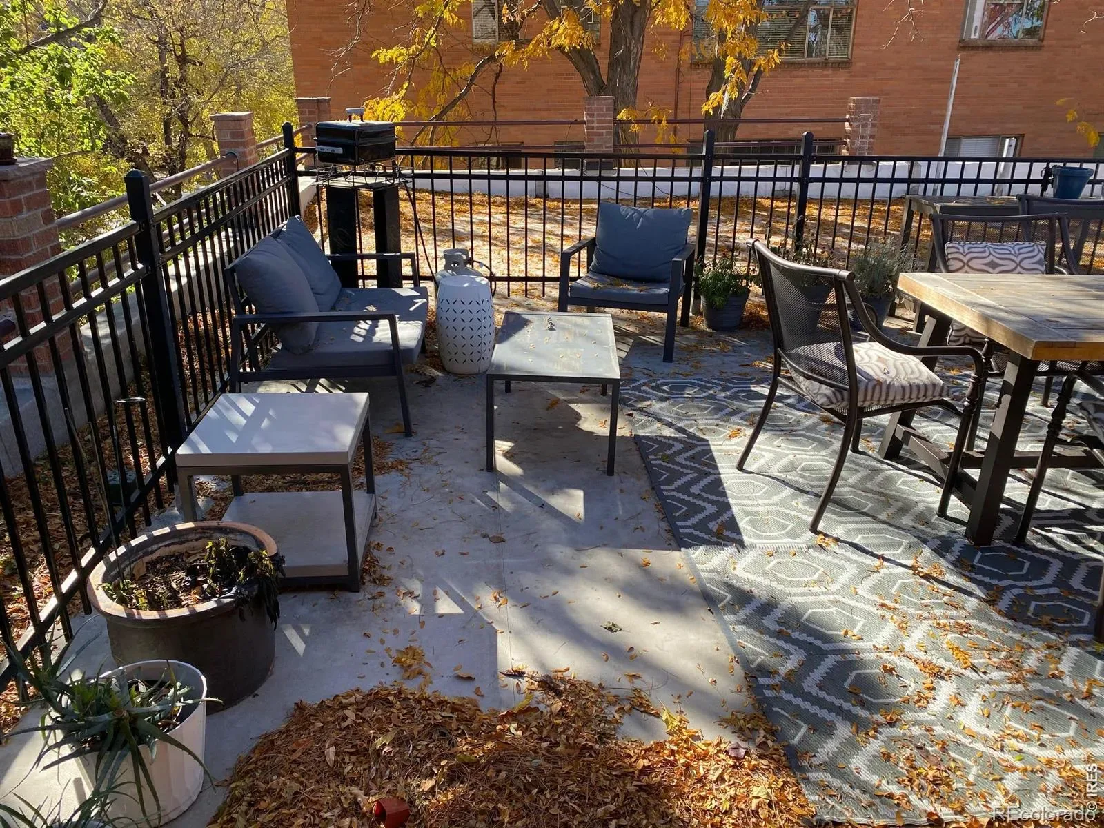 1375 N Williams Street #105 Denver CO 80218 MLS #REC5733103 03282026035147 1600 25