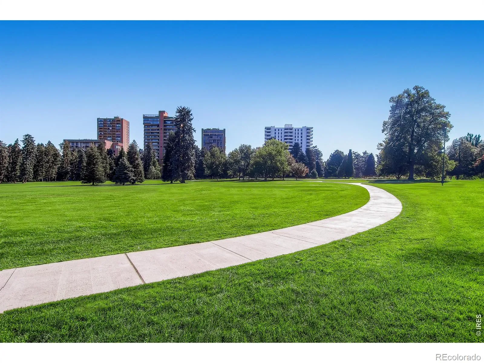 1375 N Williams Street #105 Denver CO 80218 MLS #REC5733103 03282026035147 1600 36