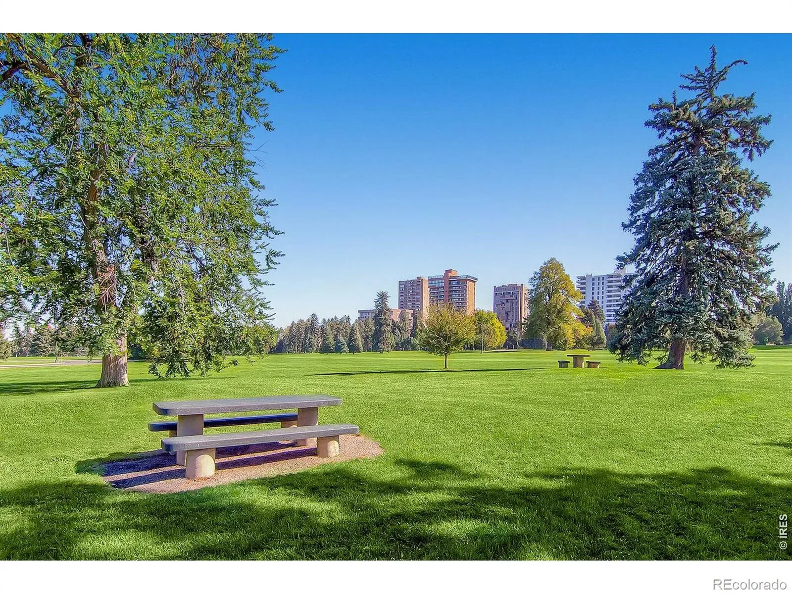 1375 N Williams Street #105 Denver CO 80218 MLS #REC5733103 03282026035147 1600 37