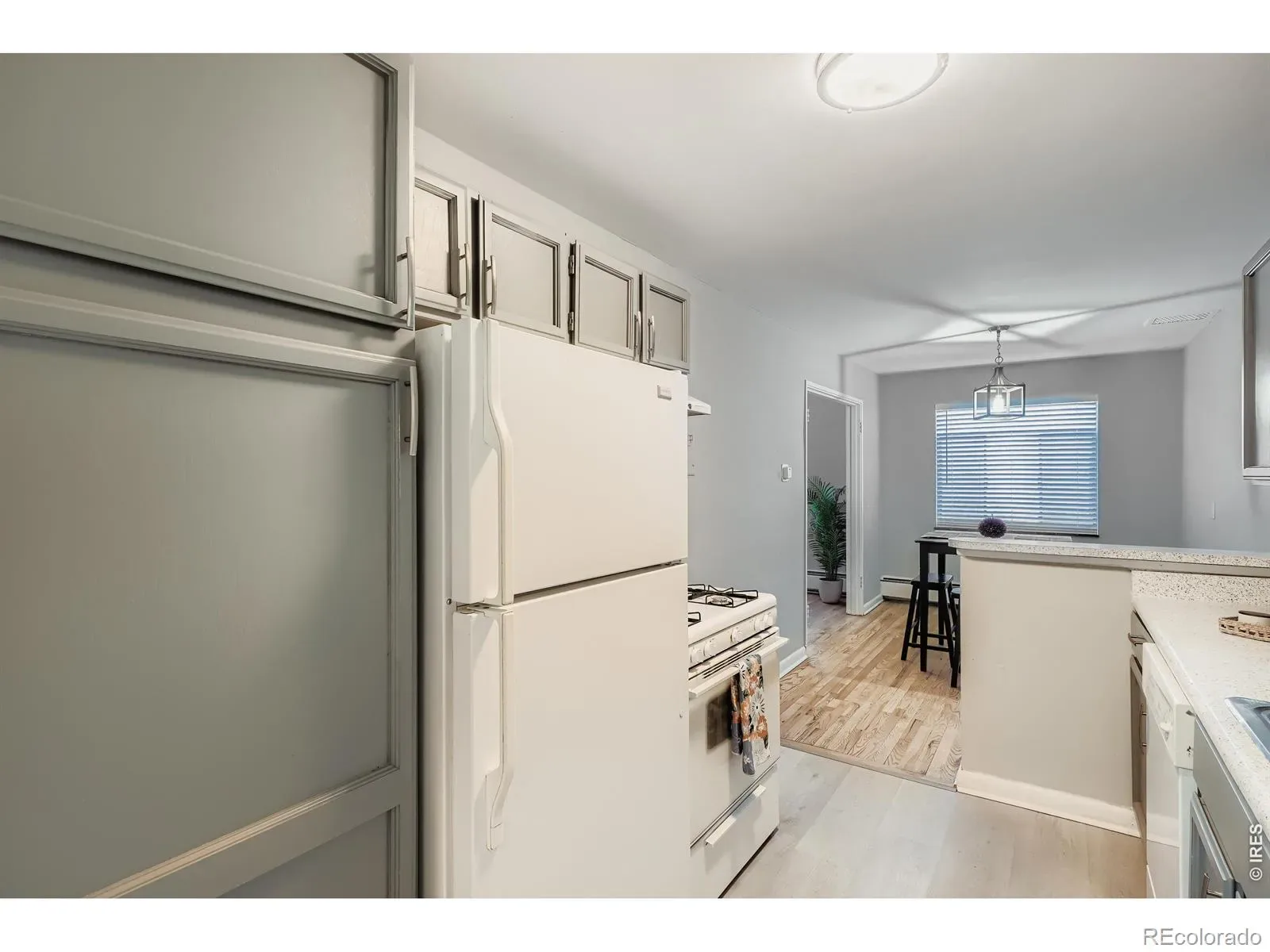 1375 N Williams Street #105 Denver CO 80218 MLS #REC5733103 03282026035147 1600 5