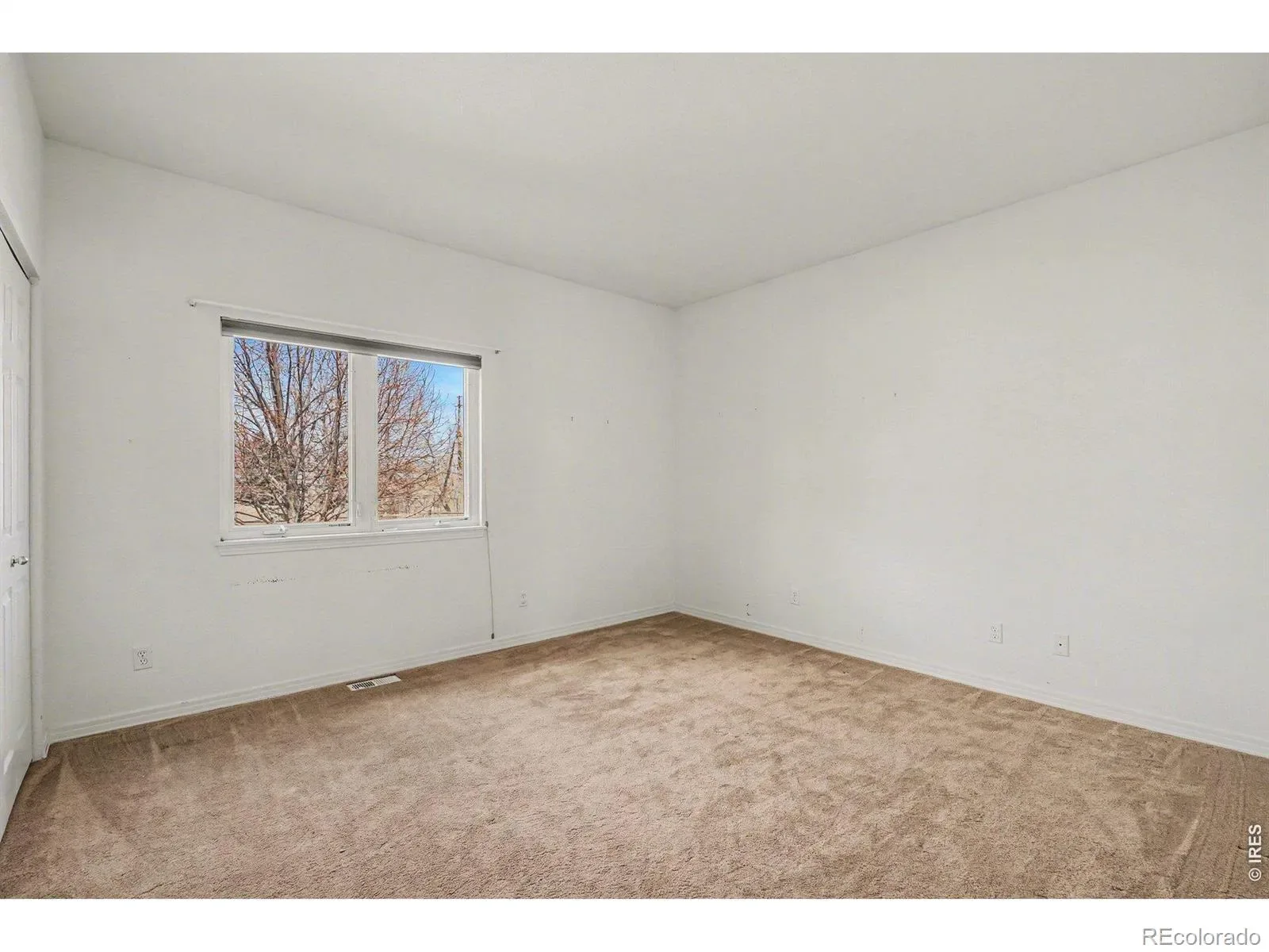 03312026192558 1600 20