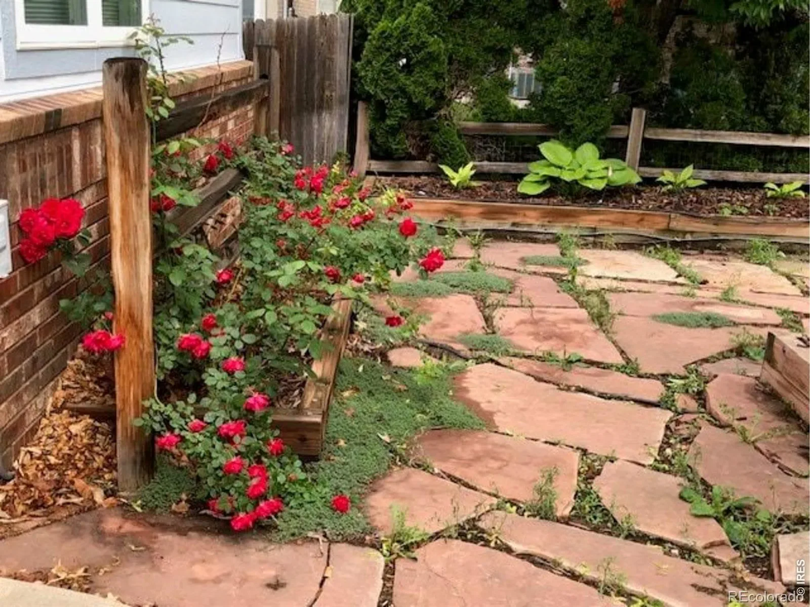 03312026192558 1600 30