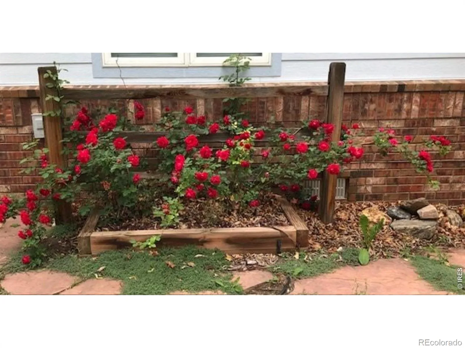 03312026192558 1600 31