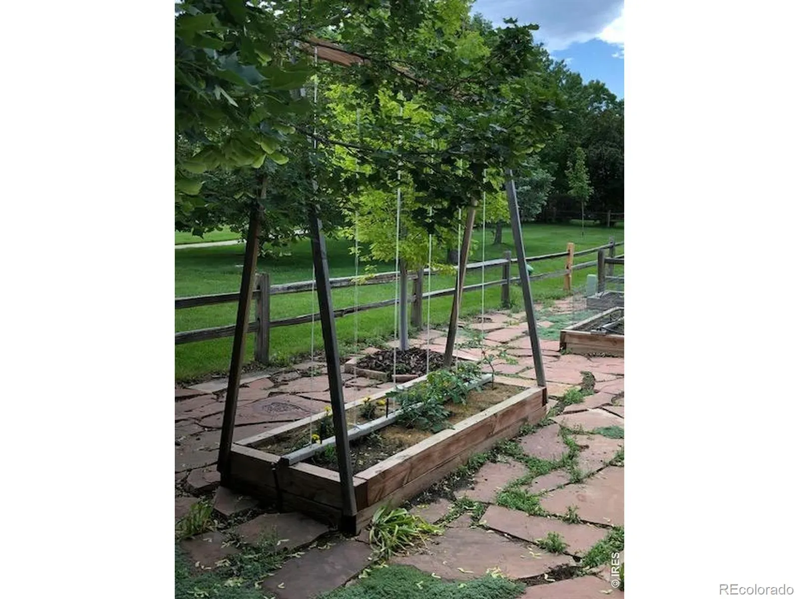 03312026192558 1600 32