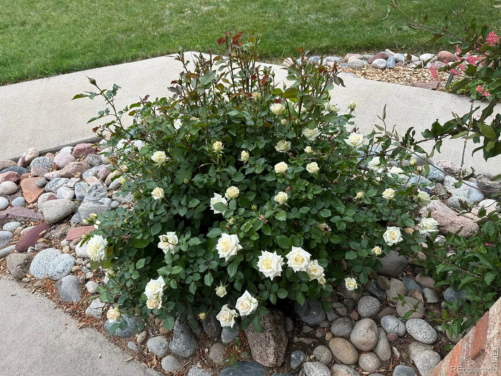 04042026202211 1600 27