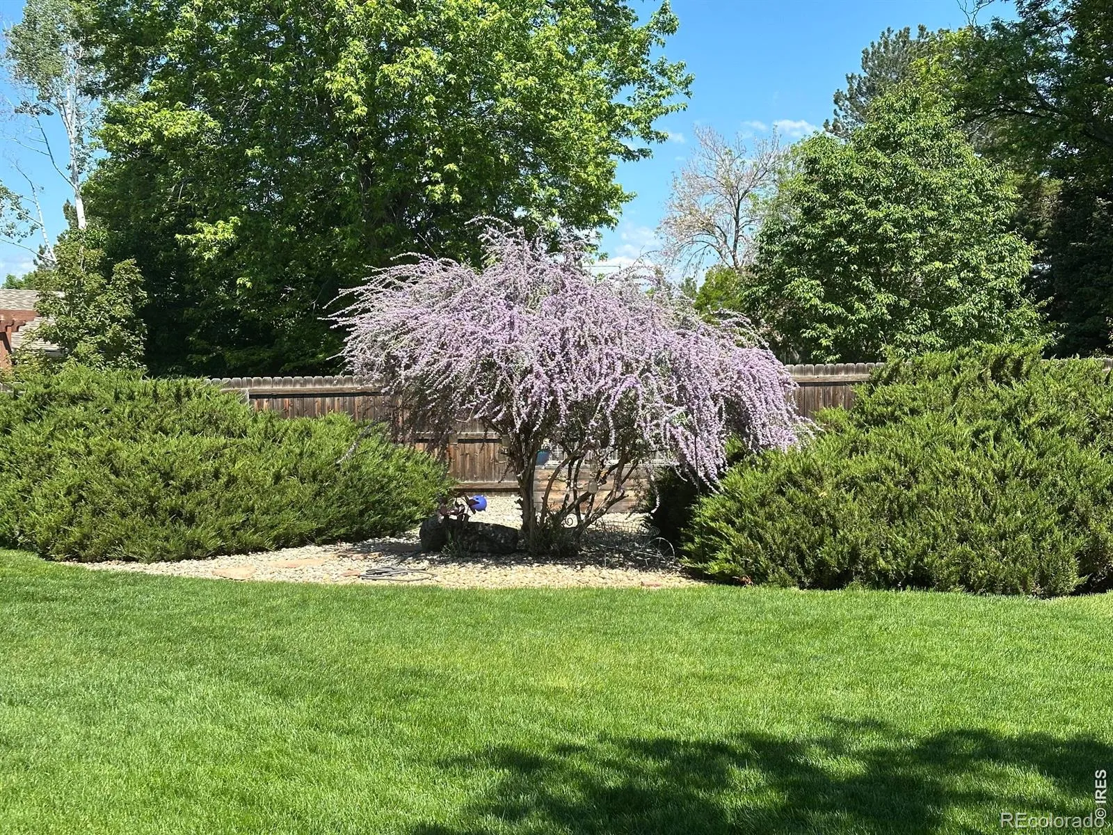 04042026202211 1600 29