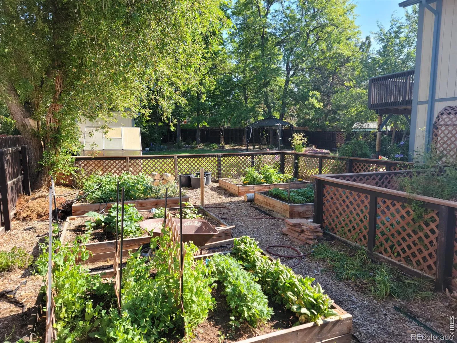 04042026053559 1600 47