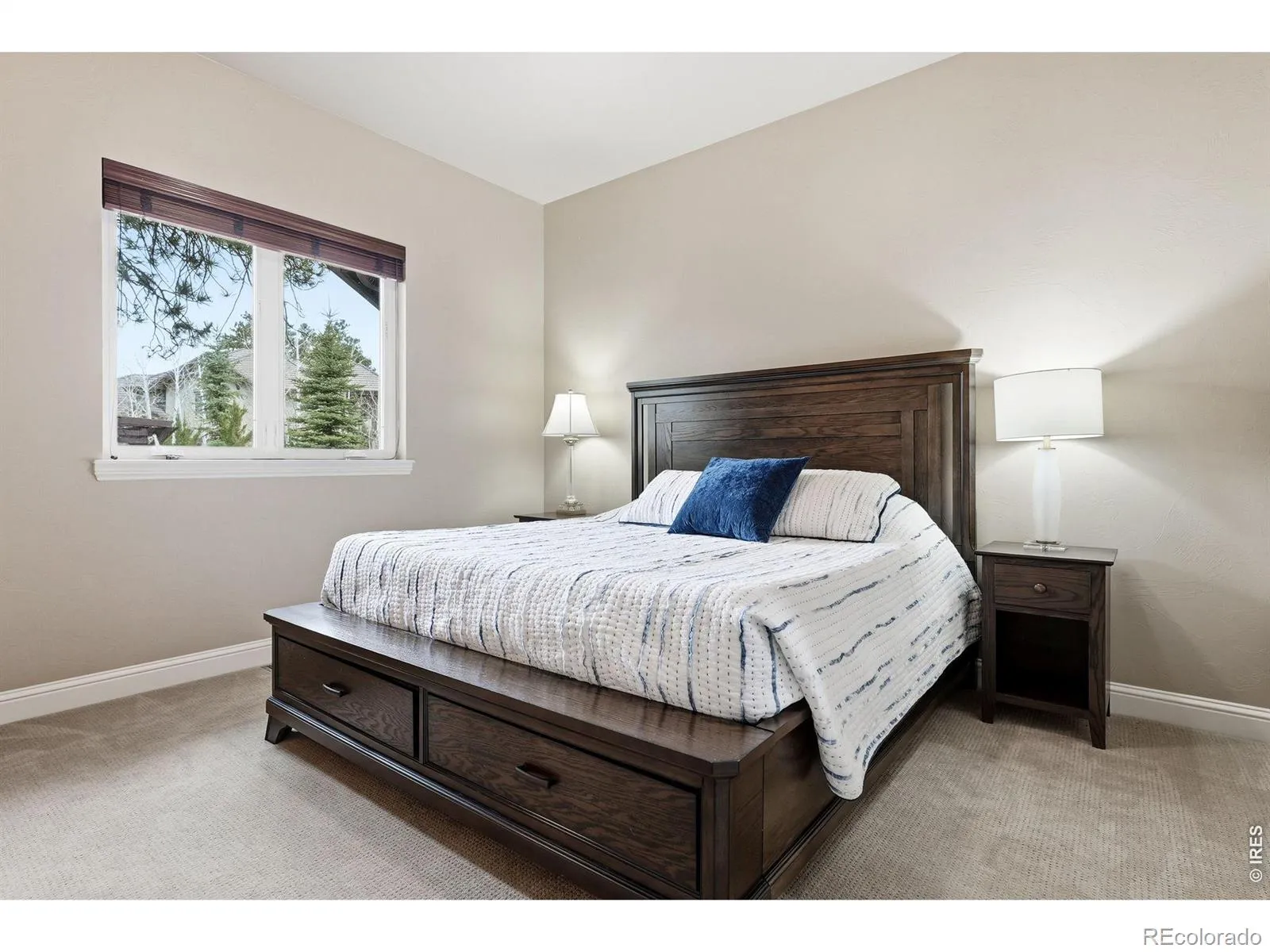 5025 Knobcone Drive Castle Rock CO 80108 MLS #RECIR1055640 04102026004534 1600 25