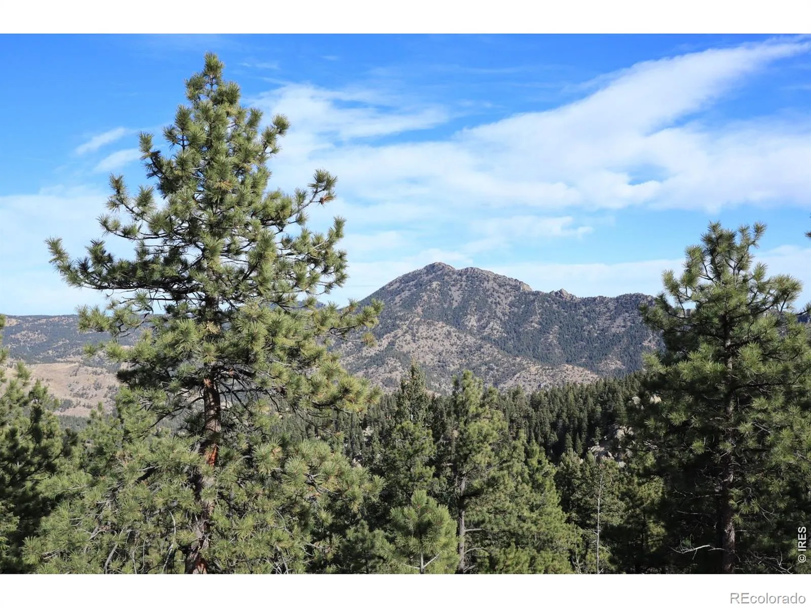 1312 Chute Road Golden CO 80403 | MLS #RECIR1055679 04082026060152 1600 1
