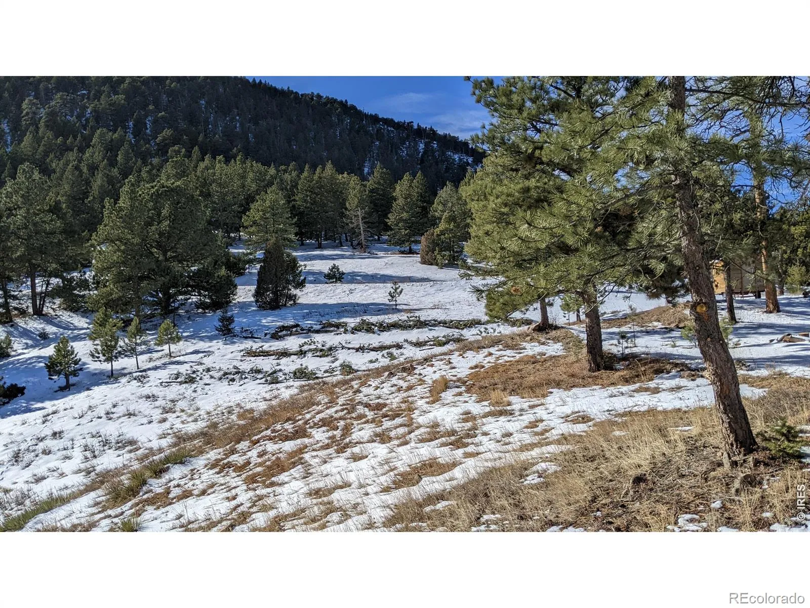 1312 Chute Road Golden CO 80403 | MLS #RECIR1055679 04082026060152 1600 11