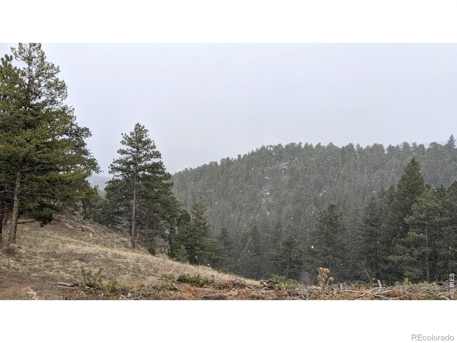 1312 Chute Road Golden CO 80403 | MLS #RECIR1055679 04082026060152 1600 13