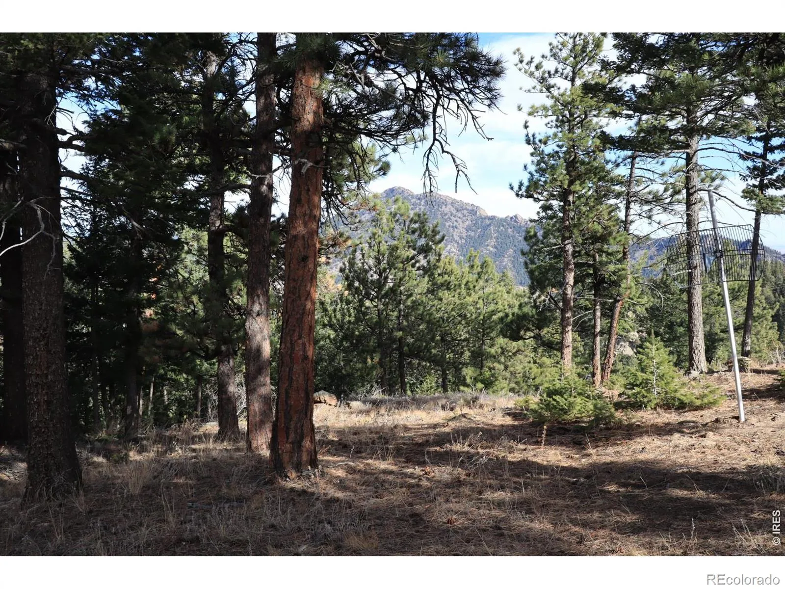 1312 Chute Road Golden CO 80403 | MLS #RECIR1055679 04082026060152 1600 2